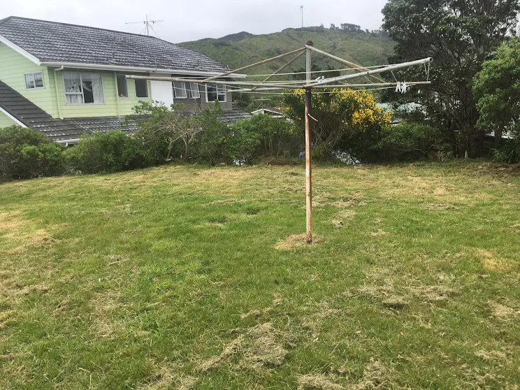 Large backyard lawn mowed by Pasturesnz in Wellington